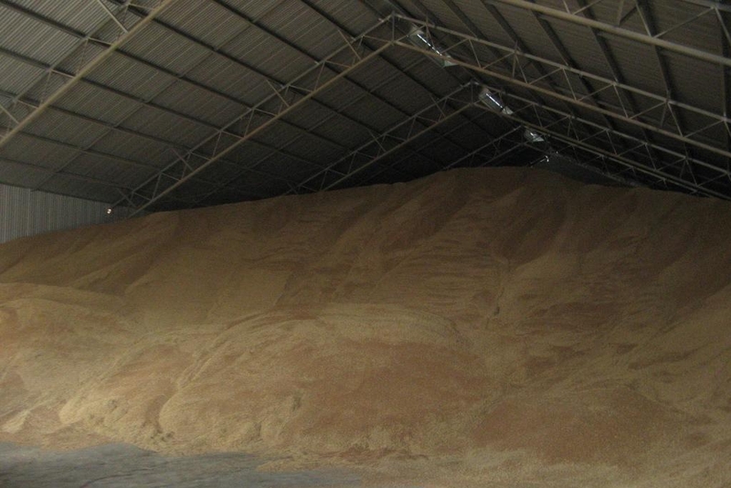 You are currently viewing Bulk grain shed with iron to inside of walls