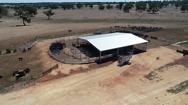 You are currently viewing A 24m x 21m cattle yard cover