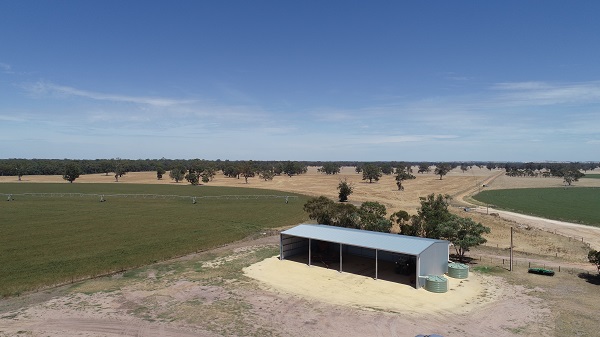 You are currently viewing A 32m x 15m hay storage shed