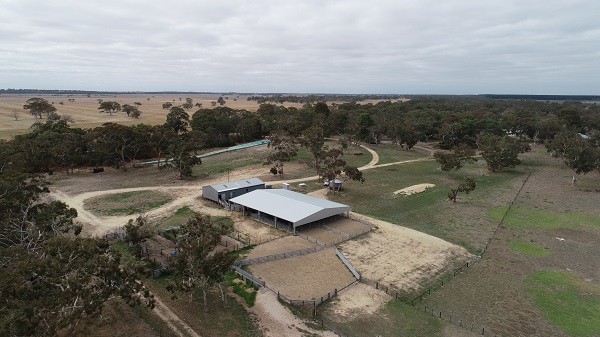 You are currently viewing A 28m x 21m sheep yard cover