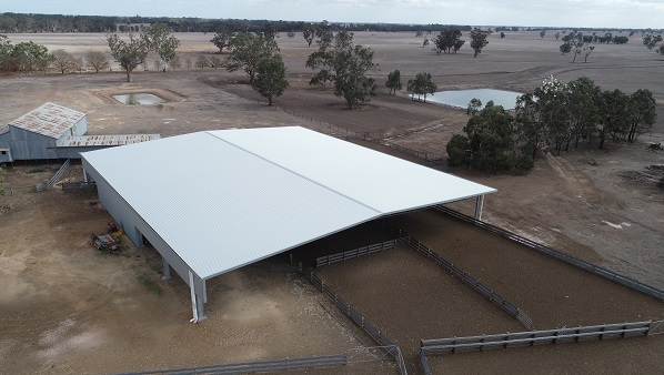 You are currently viewing A 40m x 36m sheep yard cover