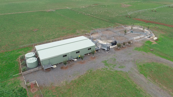 You are currently viewing A 24m x 12m shearing shed