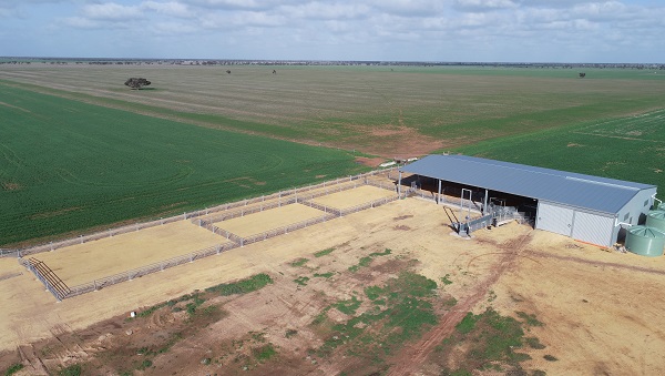 You are currently viewing A 33m x 18m shearing complex