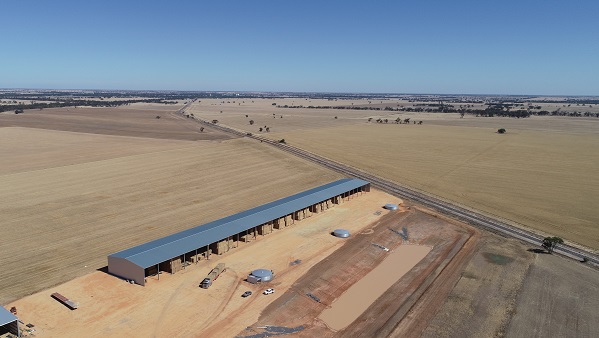 You are currently viewing A 270m x 27m hay shed