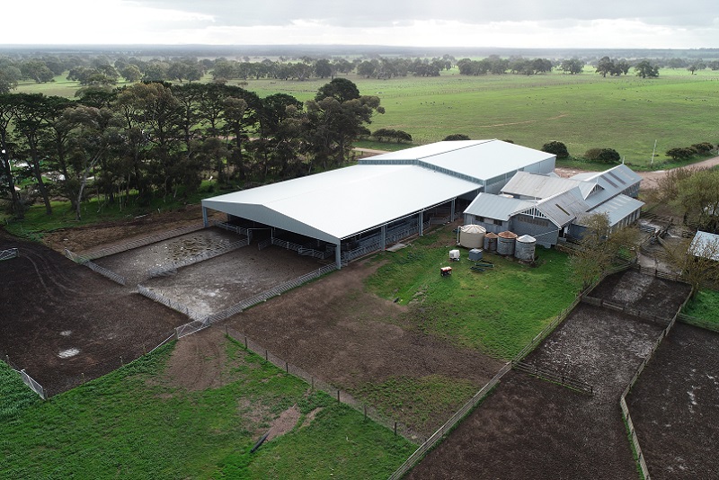 You are currently viewing 28m (W) x 30m (L) x 5.2m (H) 6 stand shearing shed with 28m (W) x 34.5m (L) x 4.2m (H) covered yards