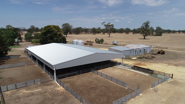 You are currently viewing A 34m x 24m sheep yard cover