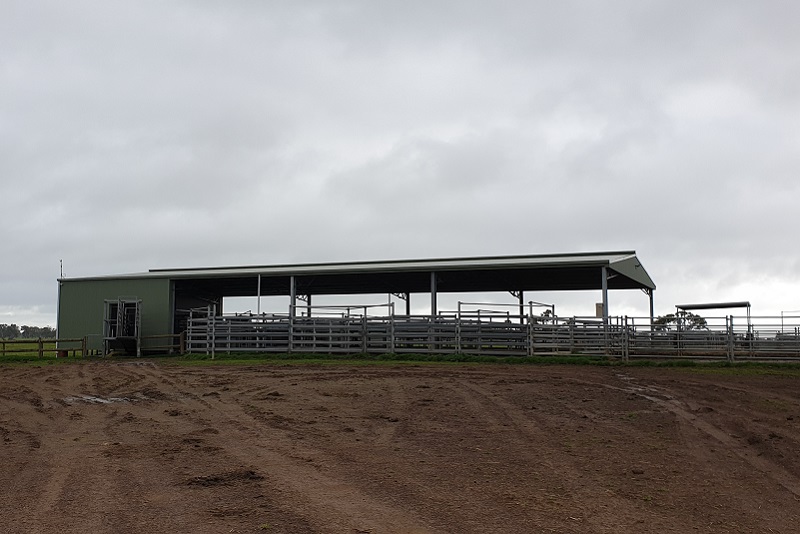 You are currently viewing 18m (W) x 32m (L) x 4m (H) cattle yard cover