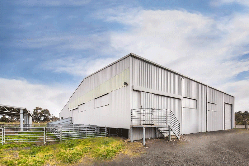 You are currently viewing Shearing Shed and covered yards for agricultural school