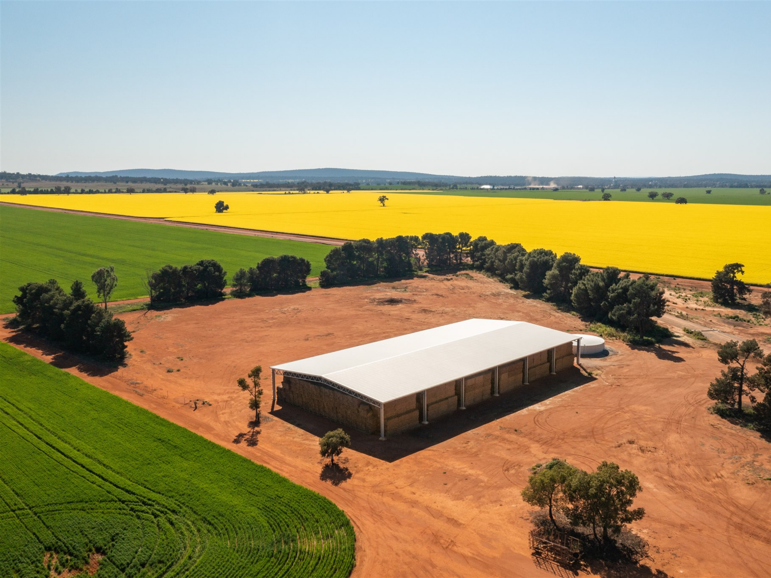 You are currently viewing 60m x 30m x 6m roof-only hay shed