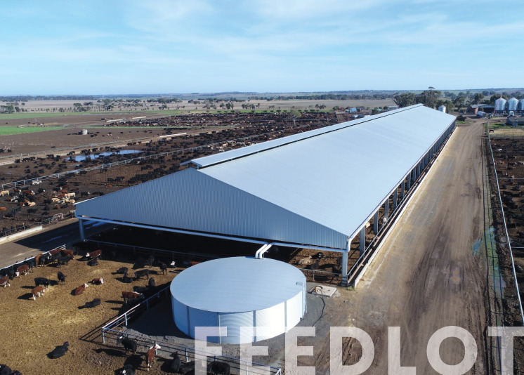 feedlot cover