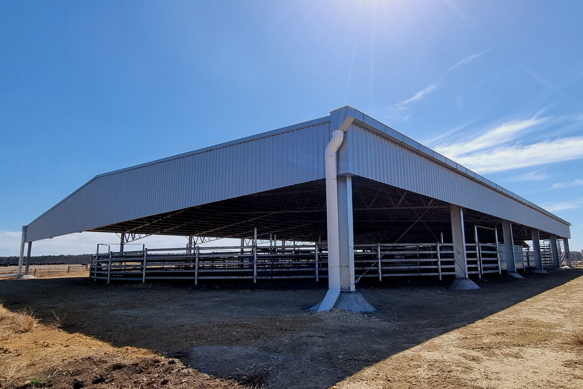 You are currently viewing 37m x 34m x 4m cattle yard cover