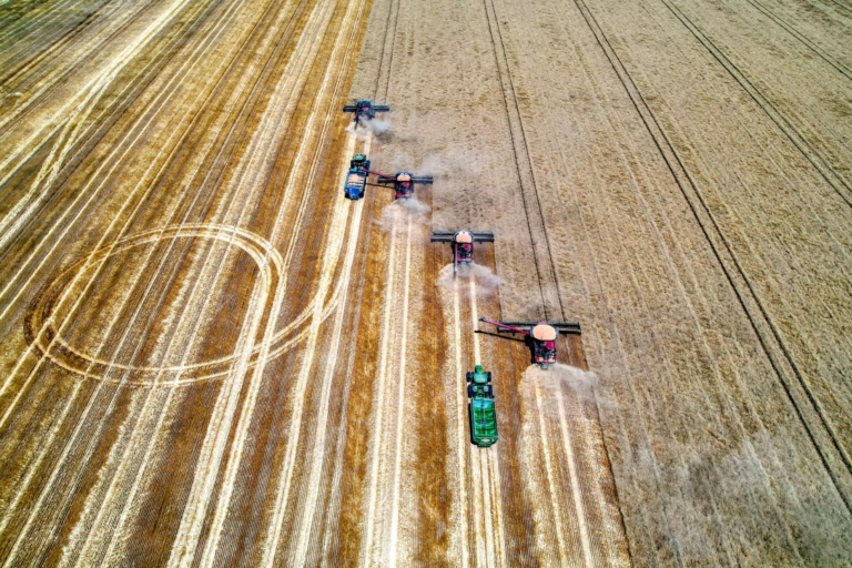 Grains storage - harvest