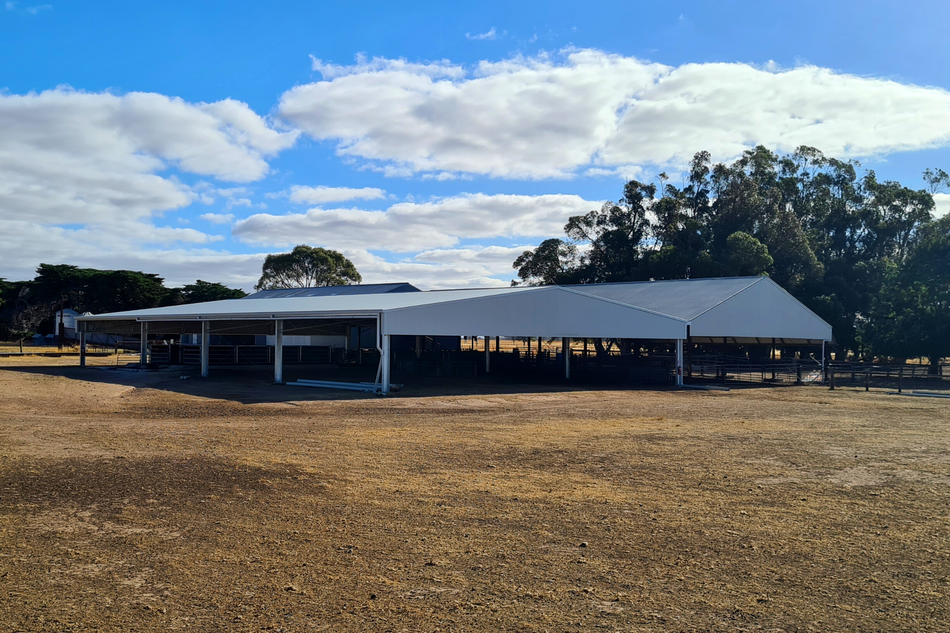 You are currently viewing 28m x 21m x 3m sheep yard cover