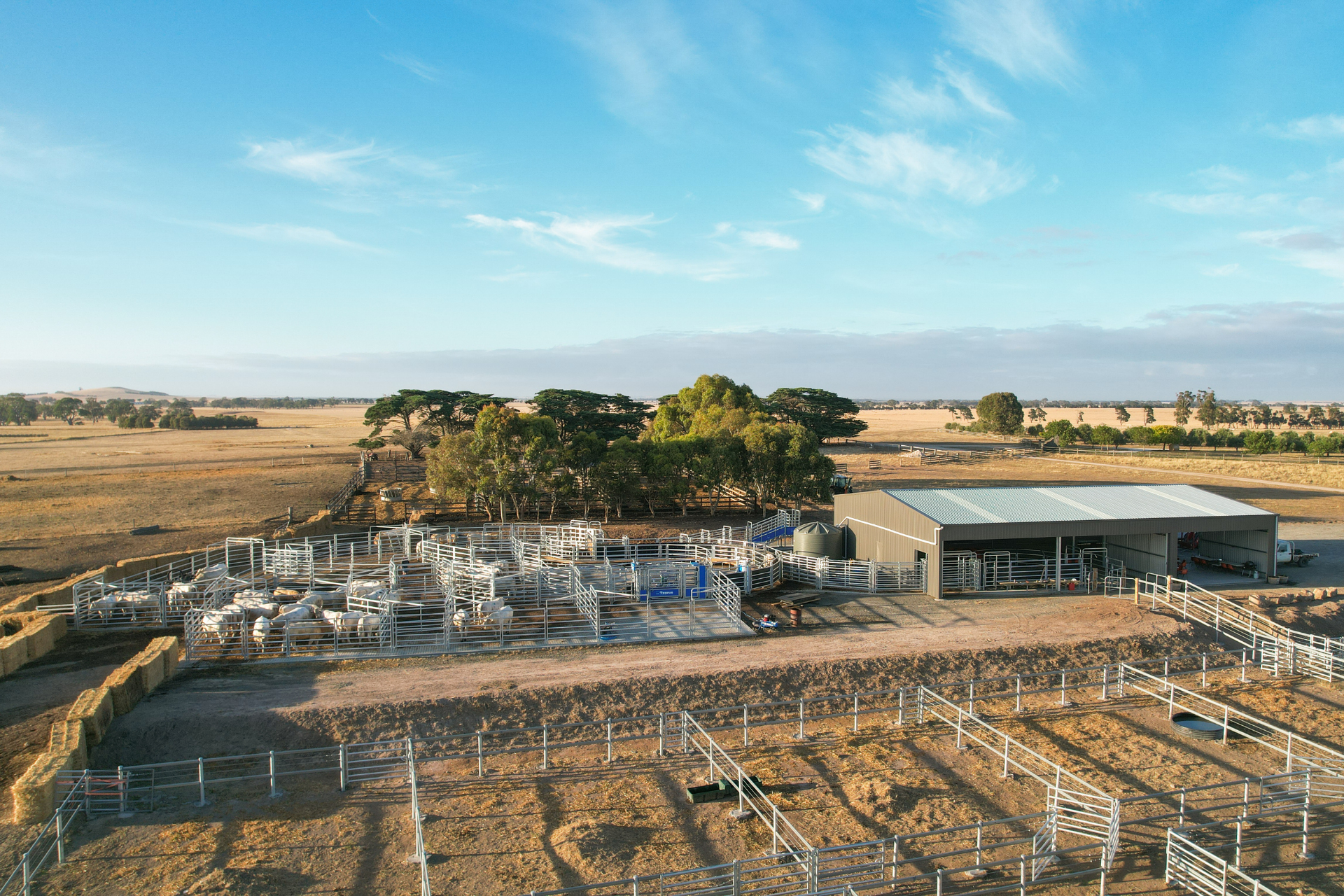 You are currently viewing 34m x 18m x 4m Bull Sale Arena Shed