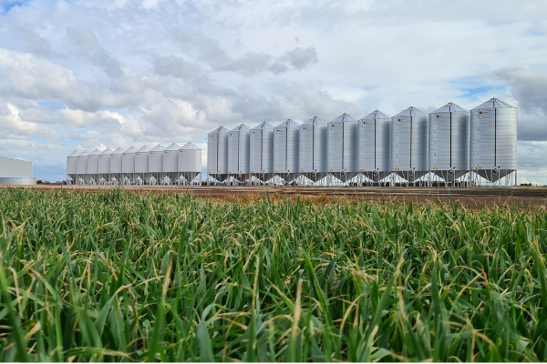 cost to build a grain shed - silos