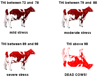 temperature-cow-stress