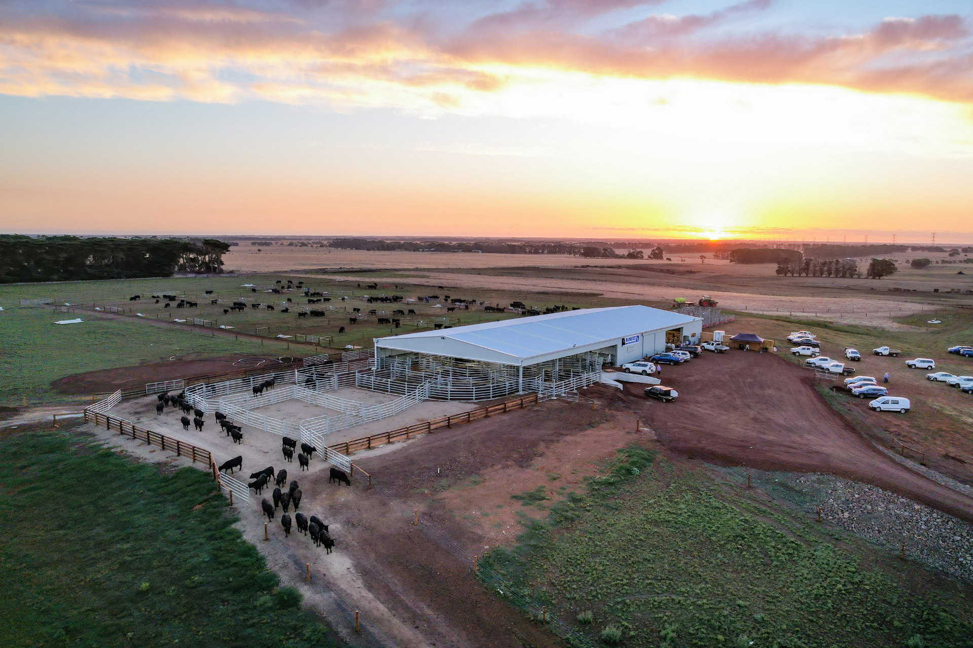 bull sale arena and cattle yard cover