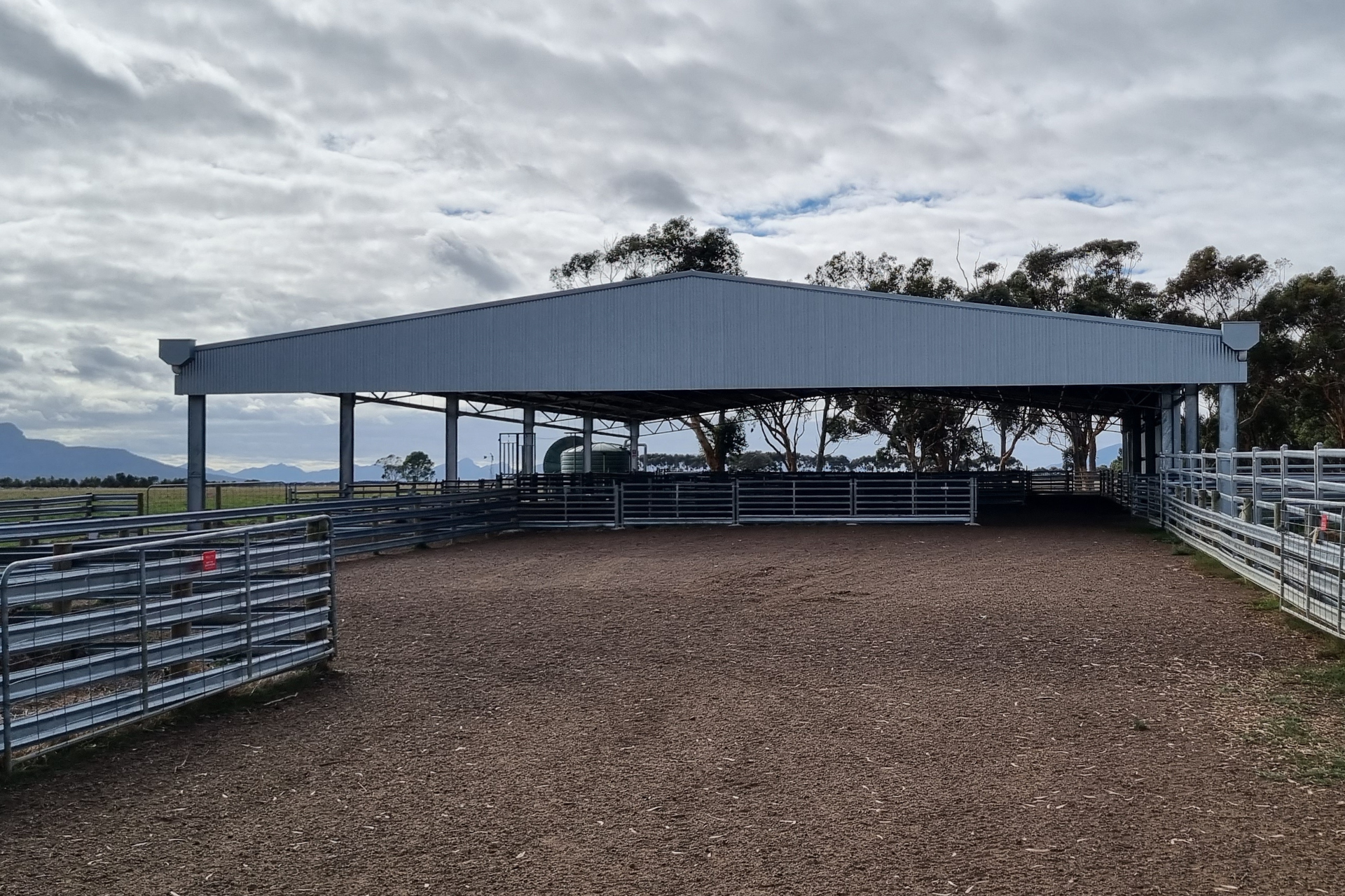 A 40m x 24m x 3.5m sheep yard cover at Cavendish VIC