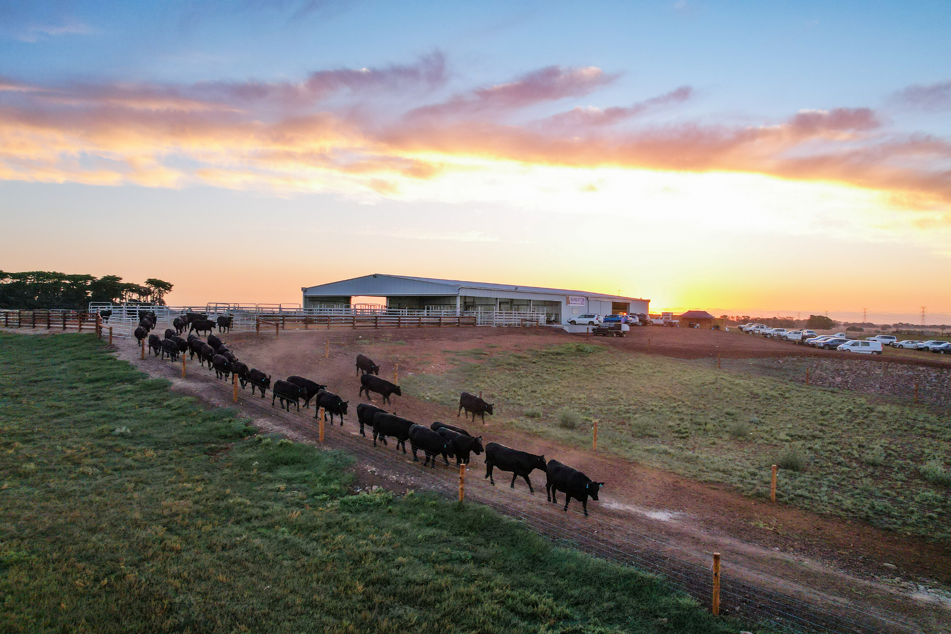 Sale Shed For Banquet Angus - Sunset Drone Photo