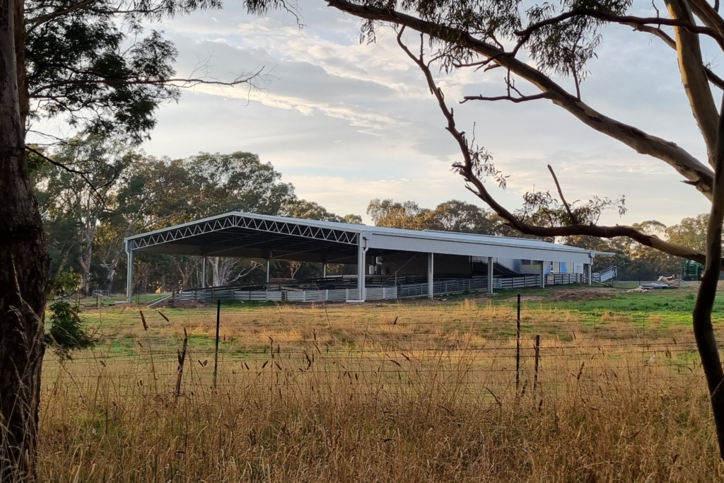 A 36m x 27m x 3m sheep yard cover at Elmhurst VIC