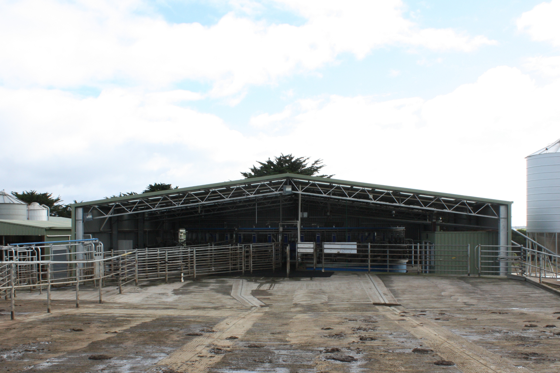 A 22m x 24m x 4m dairy with rotary fit out at Allansford VIC