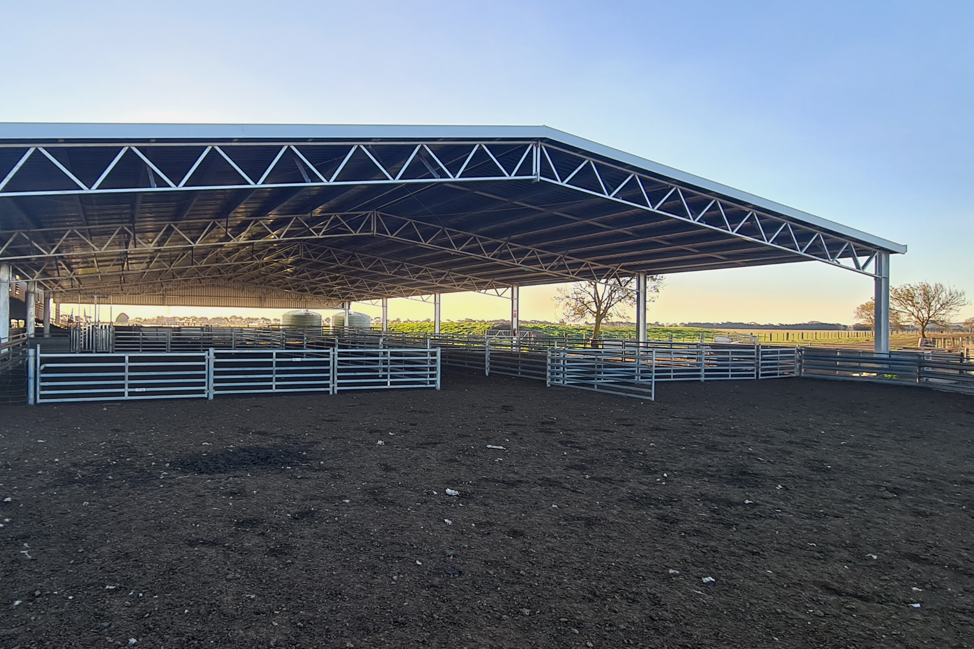 A 40m x 24m x 3.6m sheep yard cover at Mortlake VIC (1)