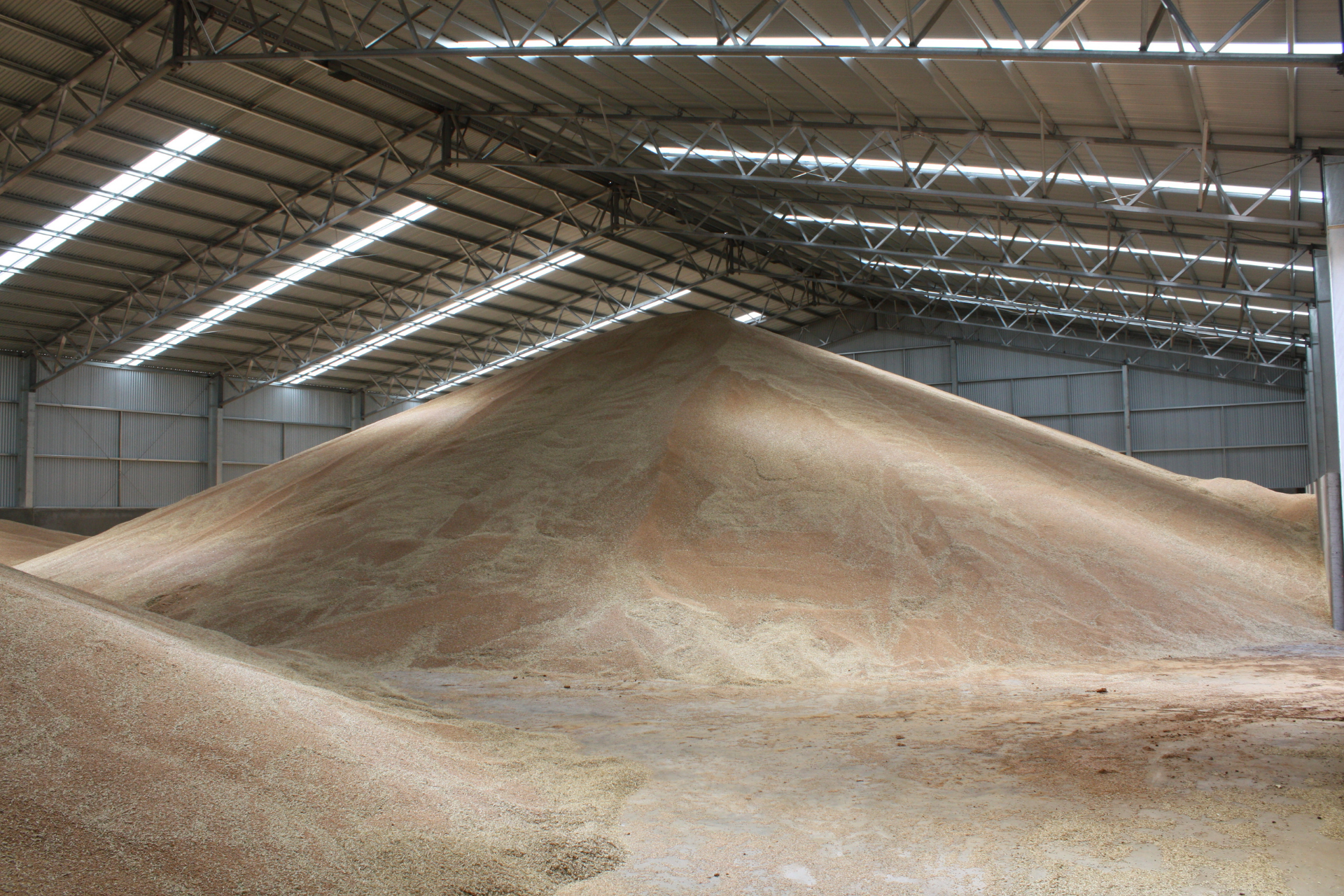 A 60m x 30m x 6m grain storage shed, Lismore VIC - internal