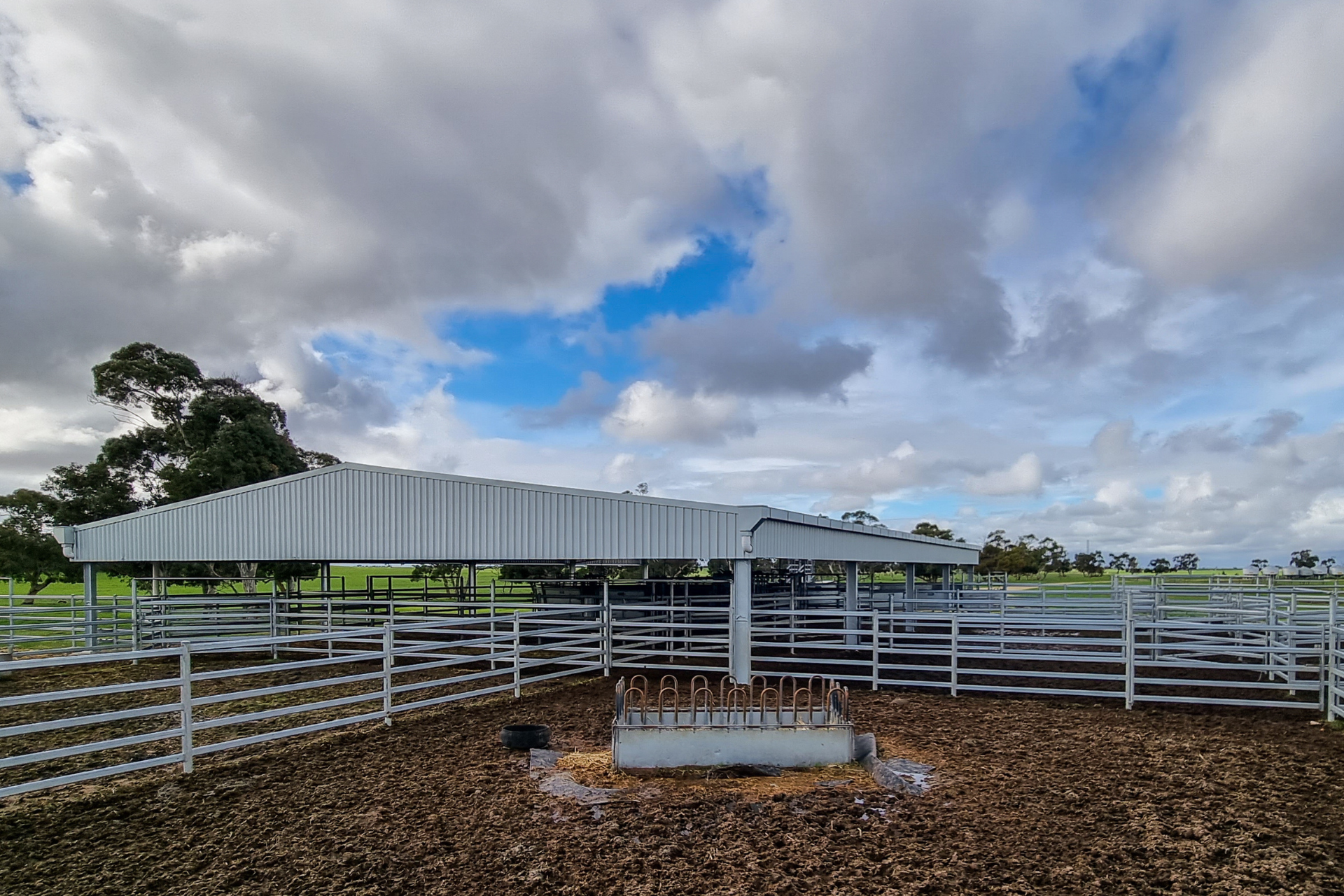 A 32m x 21m x 3.6m cattle yard cover at Culburra SA