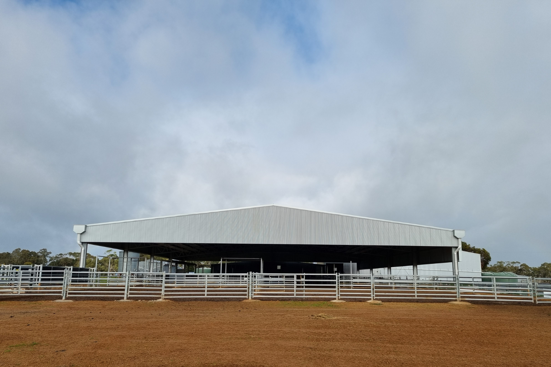 You are currently viewing 34m x 27m x 4.2m sheep yard cover