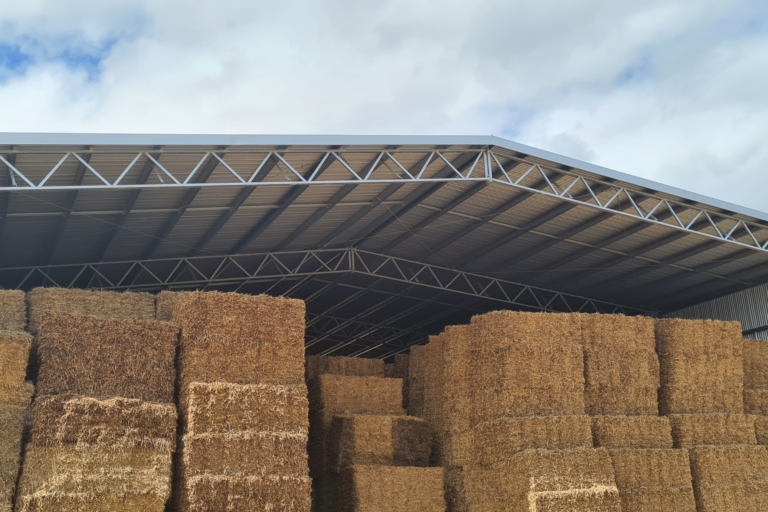 What Is The Best Roof Pitch For Farm Sheds? Action Steel