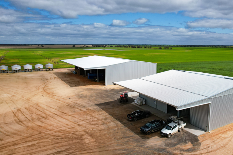 How Much Does It Cost To Build A Shed Canopy? Action Steel