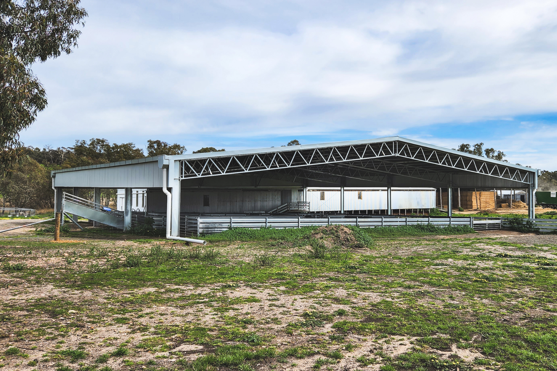 You are currently viewing 32m x 27m x 3.6m sheep yard cover
