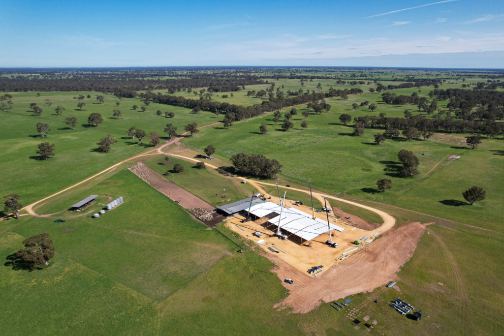 Building A Shearing Shed