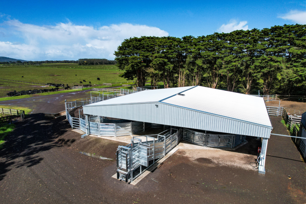 An 18m x 21m x 4m cattle yard cover at Buckley Swamp VIC