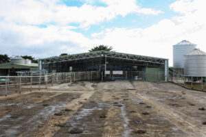 How much does it cost to build a rotary dairy shed