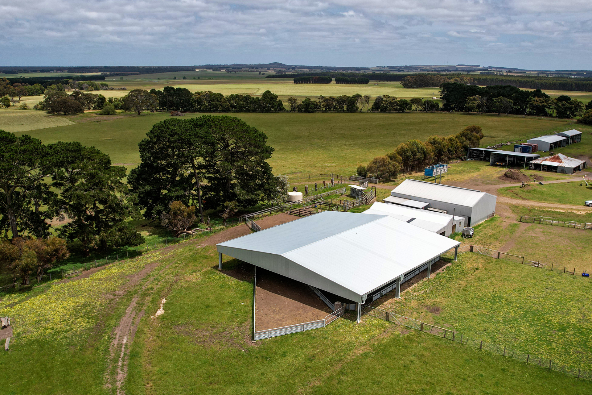 You are currently viewing 27m x 27m x 3m sheep yard cover