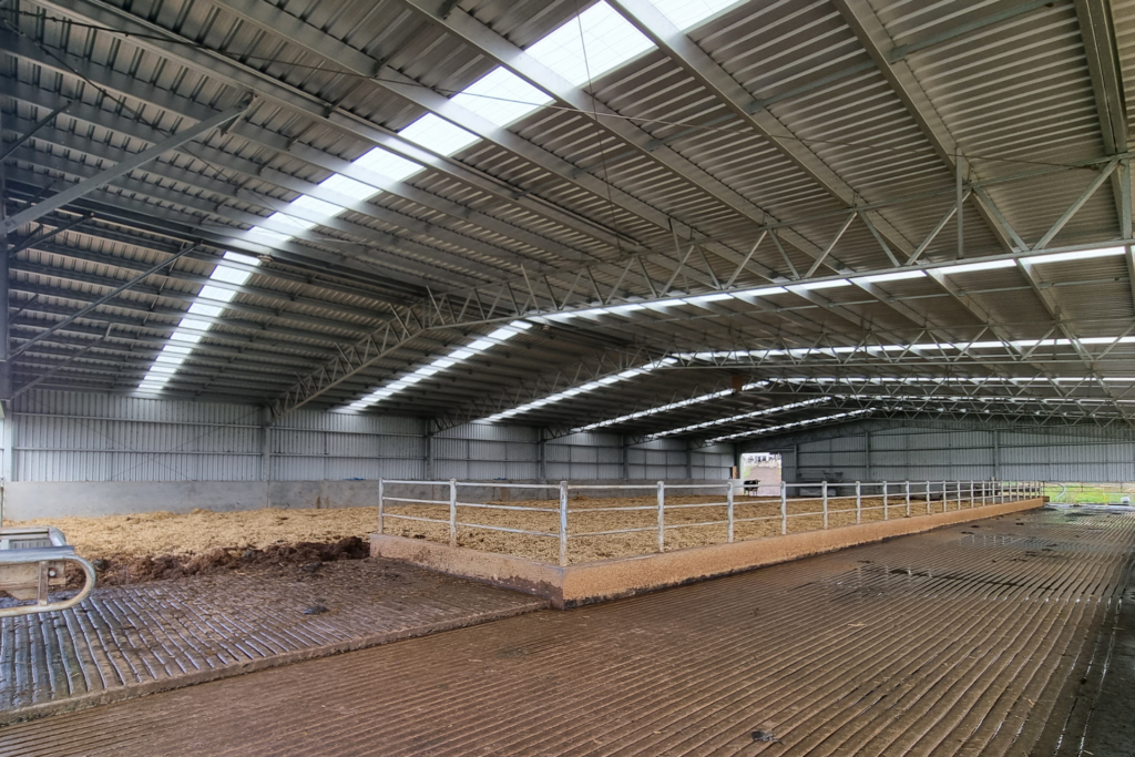 Cost To Build A Calving Shed