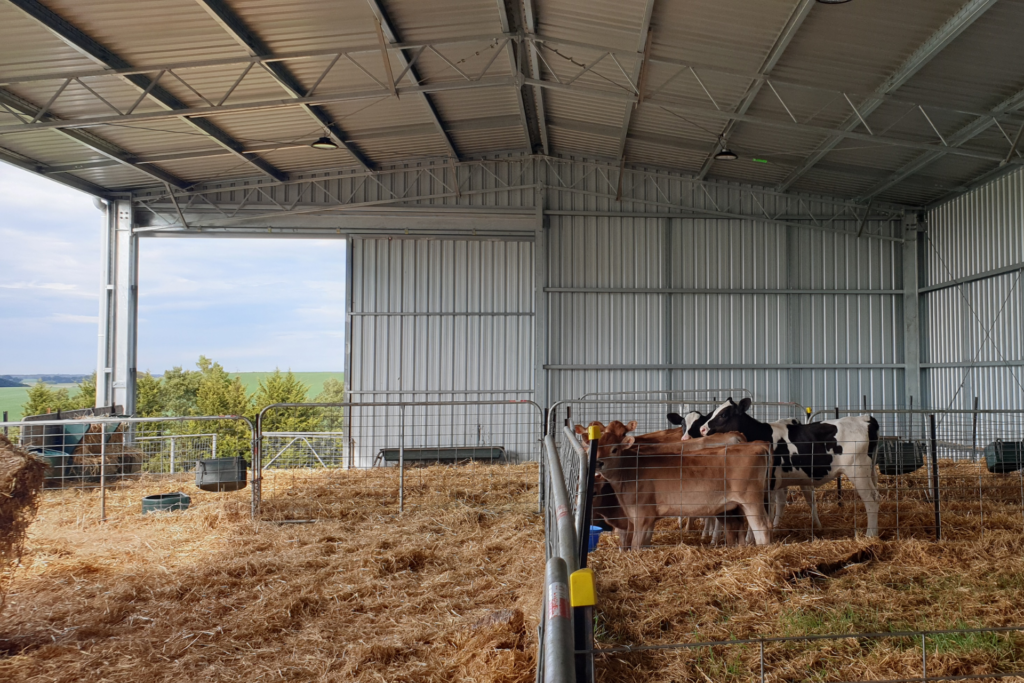 Cost To Build A Calving Shed - small calf shed