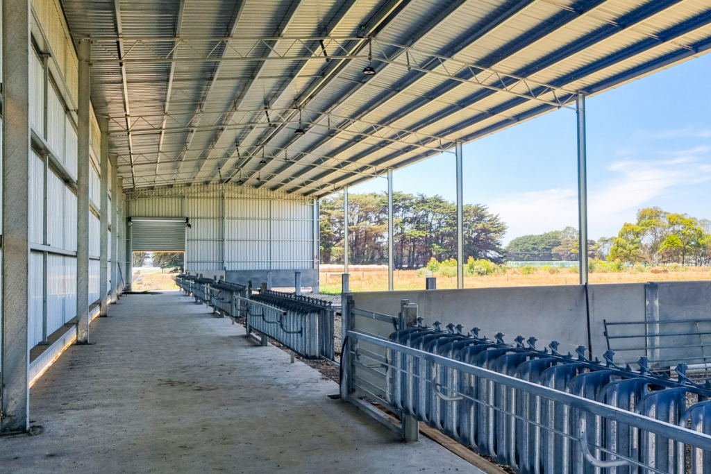 A 48m x 12m x 6m calf shed at Nirranda South VIC