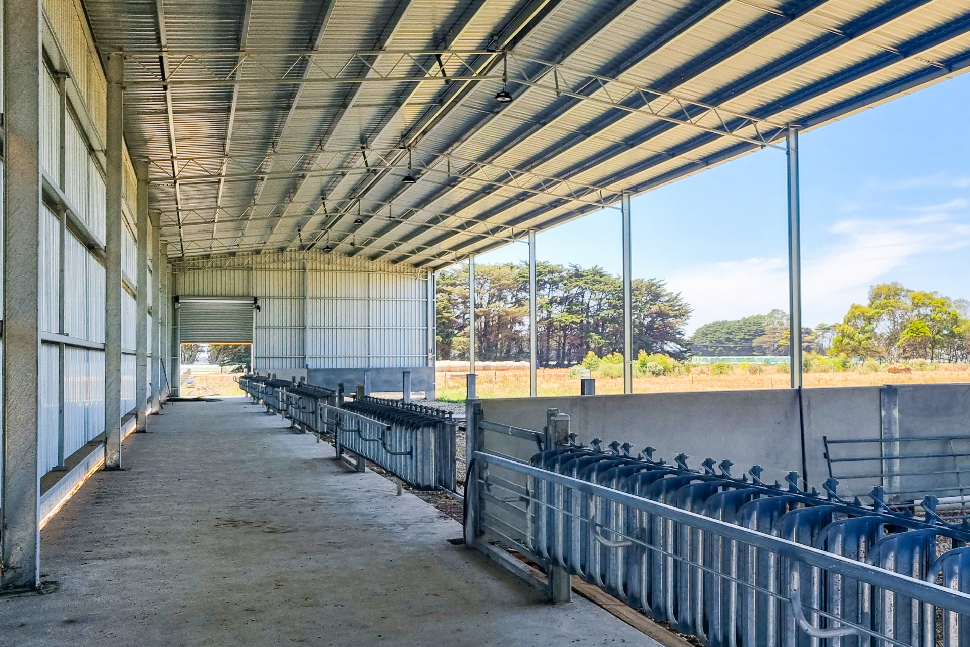 You are currently viewing 48m x 12m x 6m calf shed