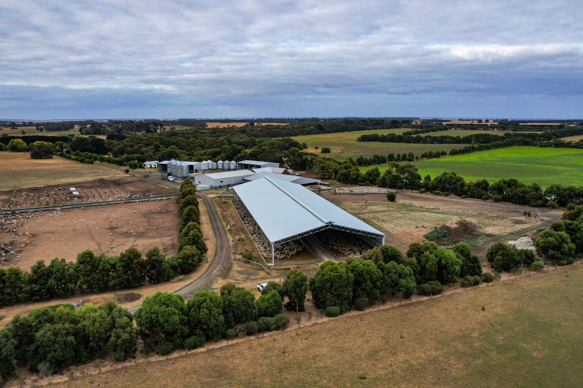 You are currently viewing 92m x 30m x 6m lamb feedlot cover