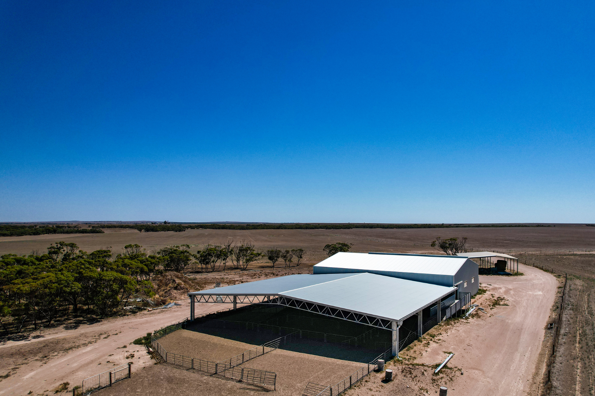 A 24m x 28m x 3.5m sheep yard cover at Mount Cooper SA