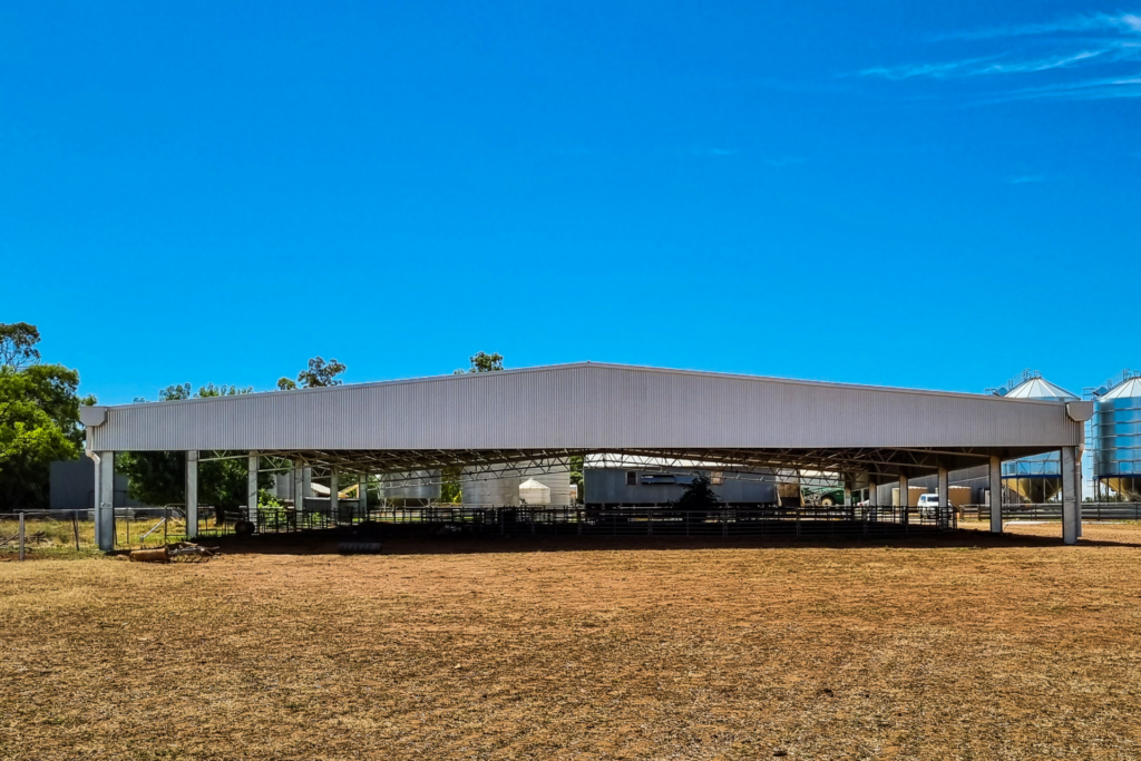 A 40m x 30m x 3m sheep yard cover at Ariah Park NSW