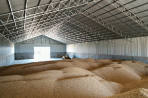 Grain Shed ROI