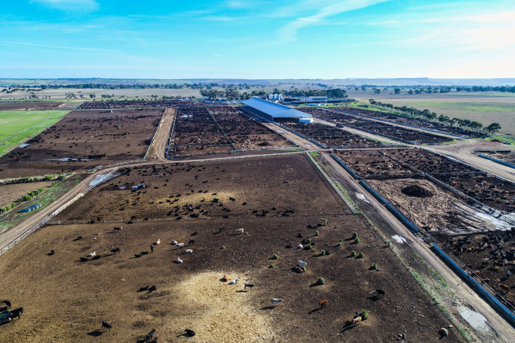 Cost To Build A Feedlot Cover