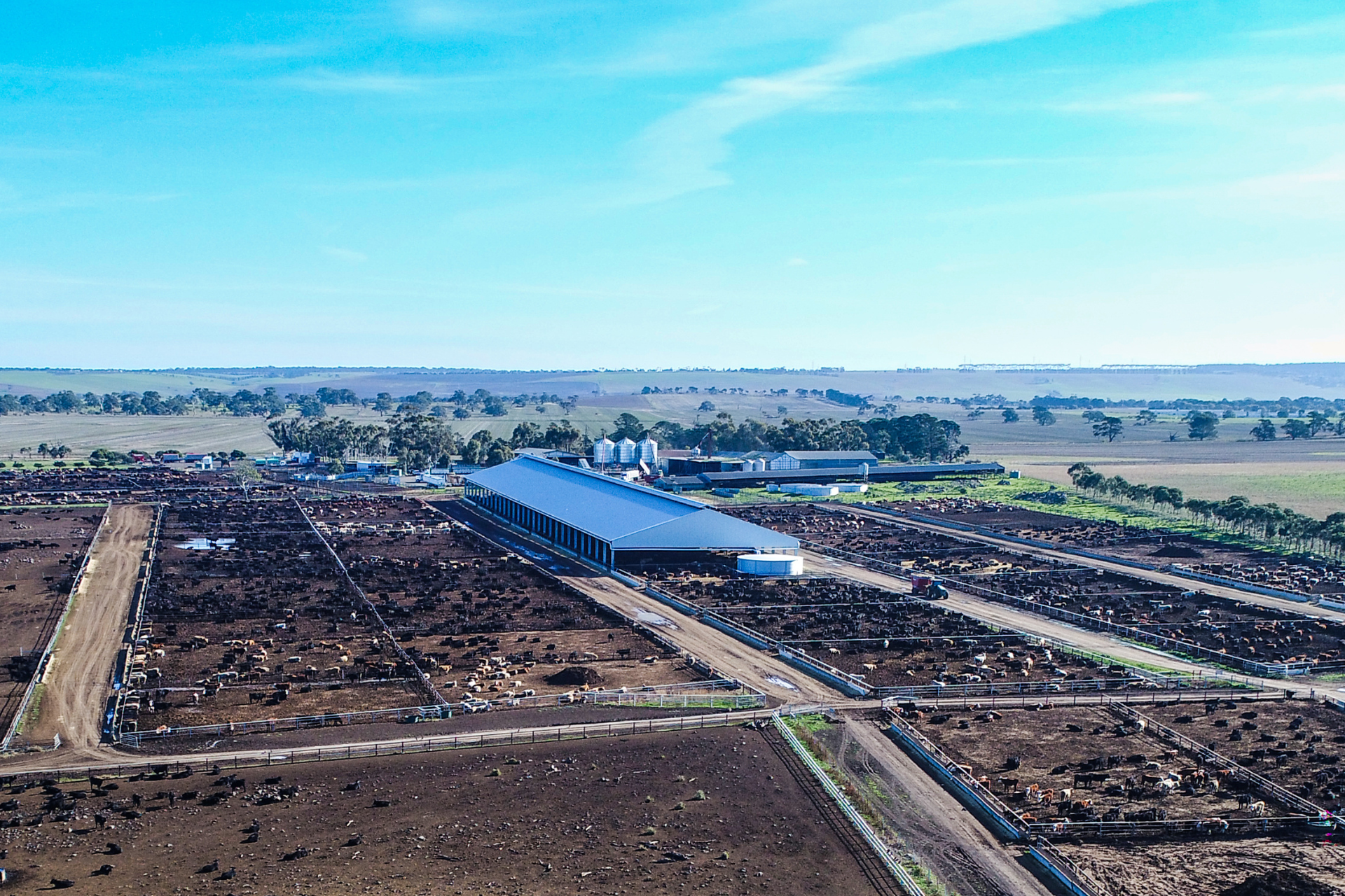 Cost To Build A Feedlot Cover - Prices