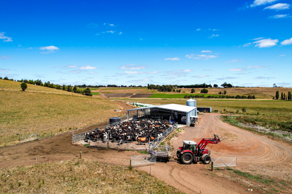 Herringbone Dairy Shed - Gallery