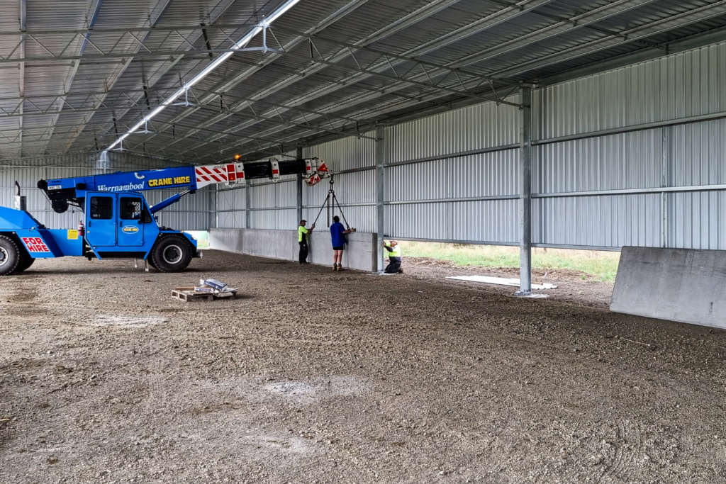 Building a calving shed with concrete panels