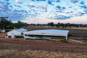 Farm Shed Infrastructure - Paradoo Prime (2)