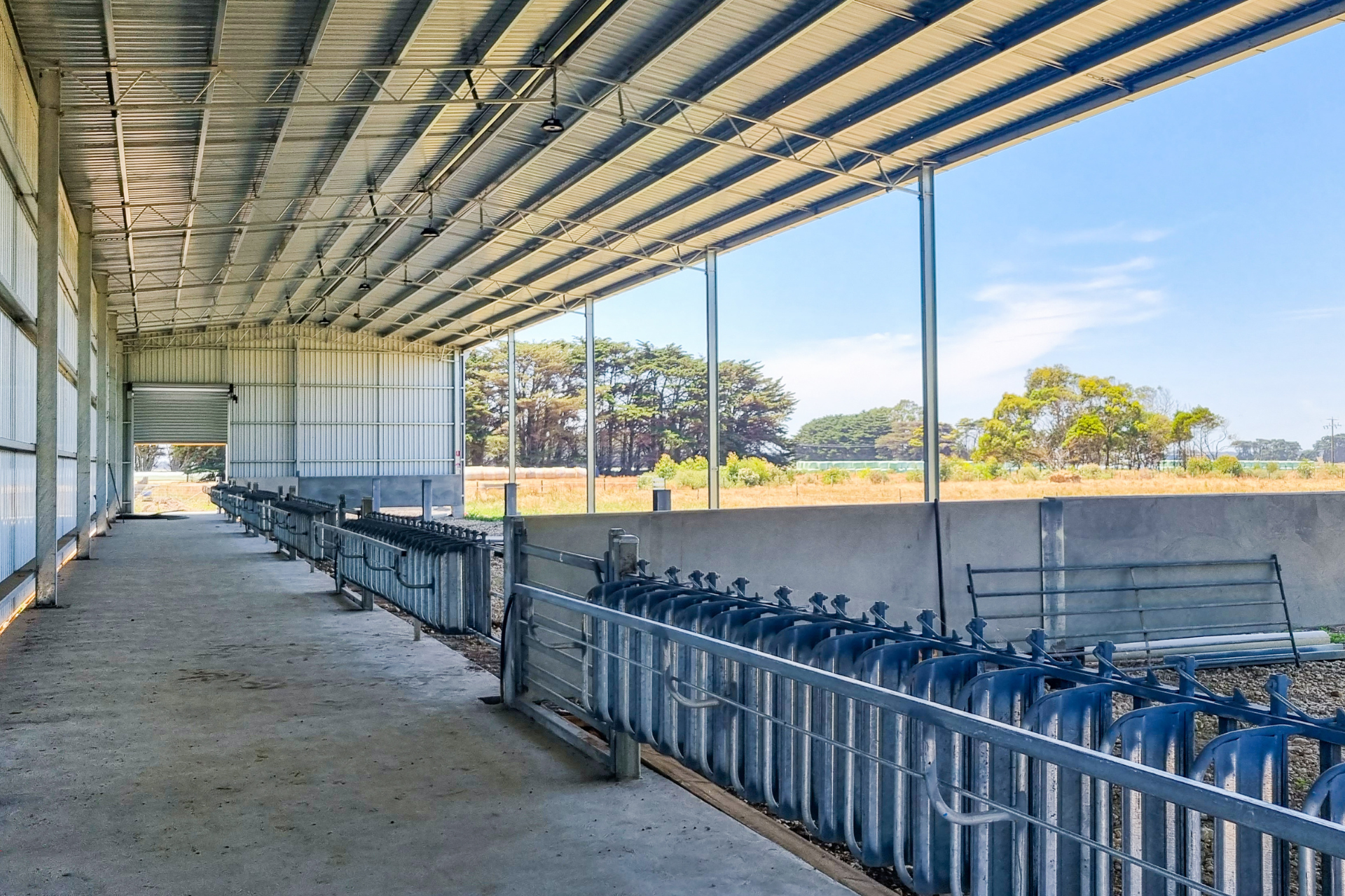 Keeping Your Calf Shed Clean